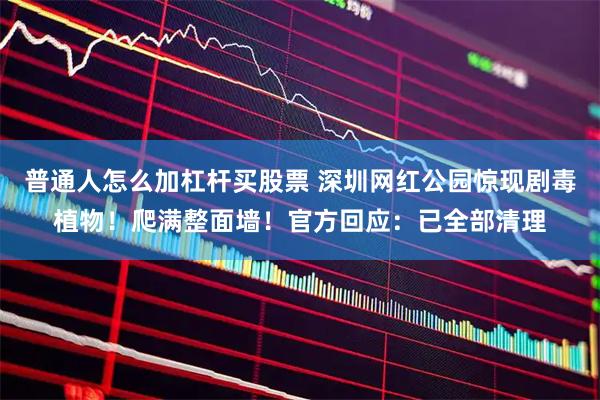 普通人怎么加杠杆买股票 深圳网红公园惊现剧毒植物！爬满整面墙！官方回应：已全部清理